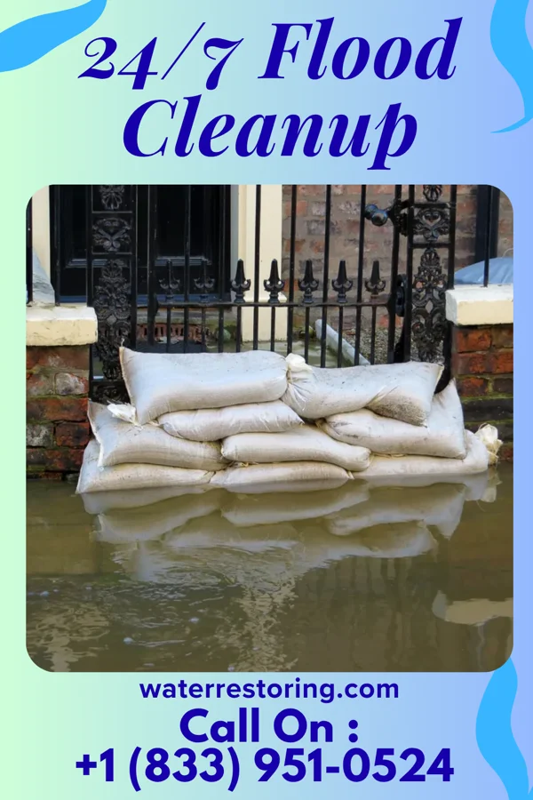 24/7 Flood Cleanup in Drakes Branch, VA