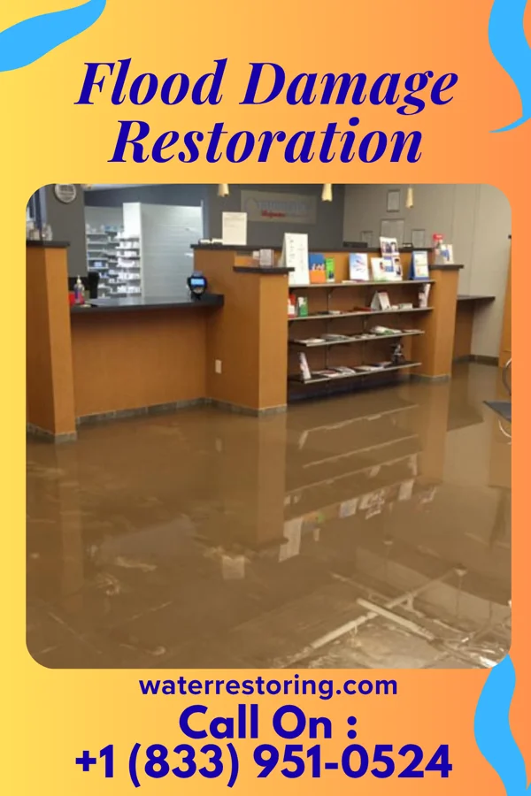 Flood Damage Restoration in Drakes Branch, VA