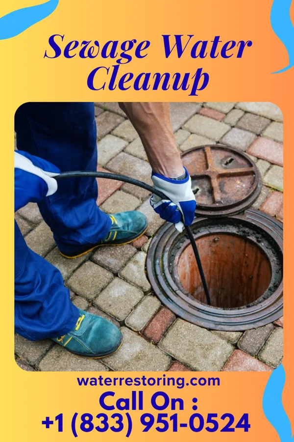 Sewage Water Cleanup in Drakes Branch, VA