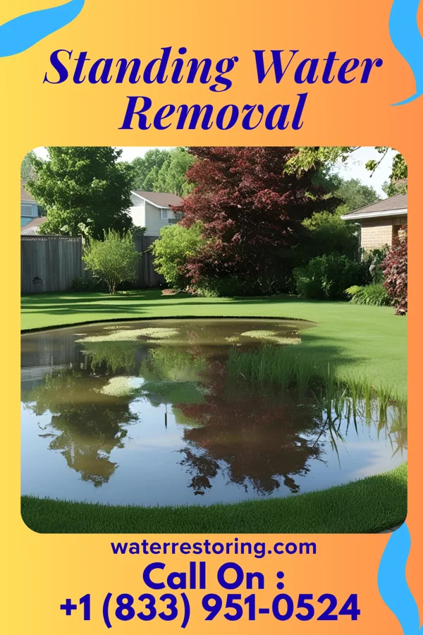 Standing Water Removal in Drakes Branch, VA
